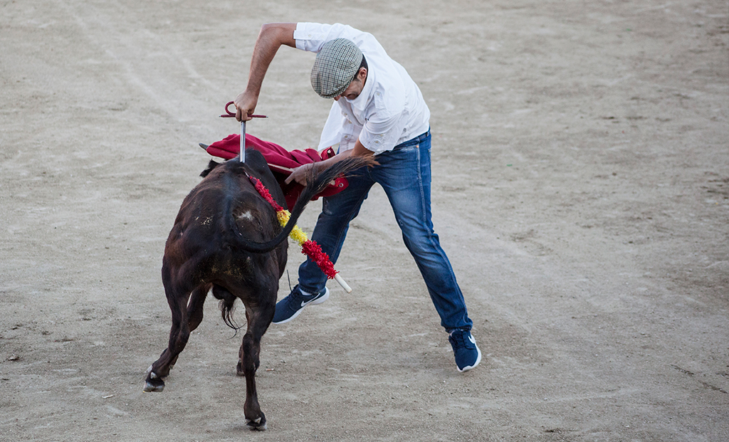 Becerrada (Madrid)